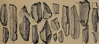 An illustration from Men of the old stone age, their environment, life and art (1918)