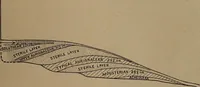 Picture 163 of 275 from Men of the old stone age, their environment, life and art (1918), leaf 368