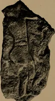An illustration from Men of the old stone age, their environment, life and art (1918)