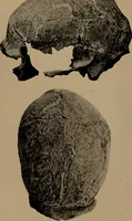 An illustration from Men of the old stone age, their environment, life and art (1918)