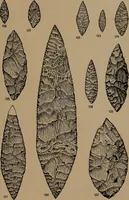 An illustration from Men of the old stone age, their environment, life and art (1918)