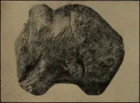 An illustration from Men of the old stone age, their environment, life and art (1918)