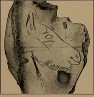 An illustration from Men of the old stone age, their environment, life and art (1918)