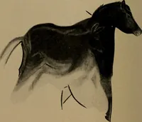 An illustration from Men of the old stone age, their environment, life and art (1918)