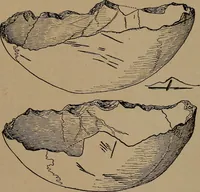 An illustration from Men of the old stone age, their environment, life and art (1918)