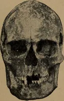 An illustration from Men of the old stone age, their environment, life and art (1918)