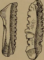 An illustration from Men of the old stone age, their environment, life and art (1918)
