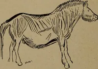 An illustration from Men of the old stone age, their environment, life and art (1918)