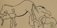 An illustration from Men of the old stone age, their environment, life and art (1918)