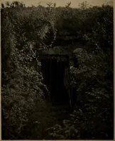 Picture 225 of 275 from Men of the old stone age, their environment, life and art (1918), leaf 467