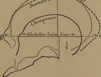 An illustration from Men of the old stone age, their environment, life and art (1918)