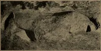 An illustration from Men of the old stone age, their environment, life and art (1918)