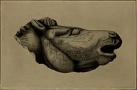 An illustration from Men of the old stone age, their environment, life and art (1918)
