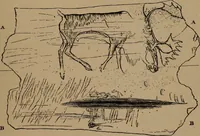 An illustration from Men of the old stone age, their environment, life and art (1918)