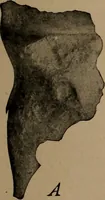 An illustration from Men of the old stone age, their environment, life and art (1918)