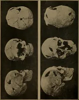 An illustration from Men of the old stone age, their environment, life and art (1918)
