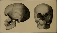 An illustration from Men of the old stone age, their environment, life and art (1918)