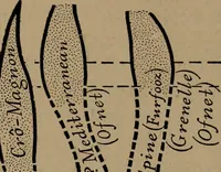 An illustration from Men of the old stone age, their environment, life and art (1918)