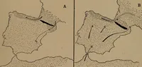 Picture 270 of 275 from Men of the old stone age, their environment, life and art (1918), leaf 562