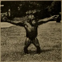 An illustration from Men of the old stone age, their environment, life and art (1918)