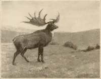 An illustration from Men of the old stone age, their environment, life and art (1916)