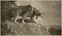 An illustration from Men of the old stone age, their environment, life and art (1916)