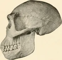 An illustration from Men of the old stone age, their environment, life and art (1916)