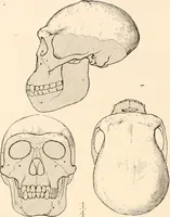 An illustration from Men of the old stone age, their environment, life and art (1916)