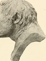 An illustration from Men of the old stone age, their environment, life and art (1916)