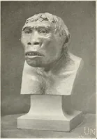 An illustration from Men of the old stone age, their environment, life and art (1916)