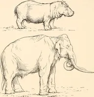 An illustration from Men of the old stone age, their environment, life and art (1916)