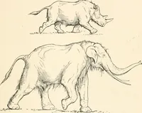 An illustration from Men of the old stone age, their environment, life and art (1916)