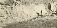 An illustration from Men of the old stone age, their environment, life and art (1916)