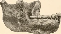 An illustration from Men of the old stone age, their environment, life and art (1916)