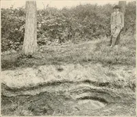 An illustration from Men of the old stone age, their environment, life and art (1916)