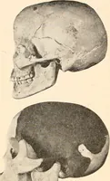 An illustration from Men of the old stone age, their environment, life and art (1916)