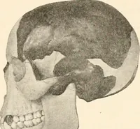 An illustration from Men of the old stone age, their environment, life and art (1916)