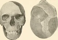 An illustration from Men of the old stone age, their environment, life and art (1916)