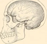 An illustration from Men of the old stone age, their environment, life and art (1916)