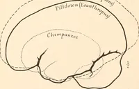 An illustration from Men of the old stone age, their environment, life and art (1916)