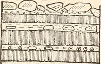 An illustration from Men of the old stone age, their environment, life and art (1916)