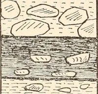 An illustration from Men of the old stone age, their environment, life and art (1916)