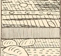 An illustration from Men of the old stone age, their environment, life and art (1916)
