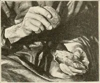 An illustration from Men of the old stone age, their environment, life and art (1916)