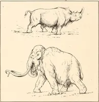An illustration from Men of the old stone age, their environment, life and art (1916)