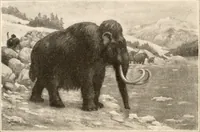 An illustration from Men of the old stone age, their environment, life and art (1916)
