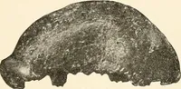 An illustration from Men of the old stone age, their environment, life and art (1916)