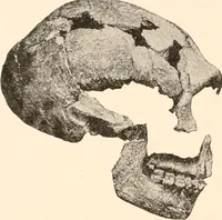 An illustration from Men of the old stone age, their environment, life and art (1916)