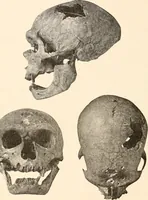 An illustration from Men of the old stone age, their environment, life and art (1916)