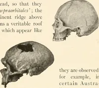 An illustration from Men of the old stone age, their environment, life and art (1916)